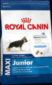  Royal Canin Maxi Junior     15